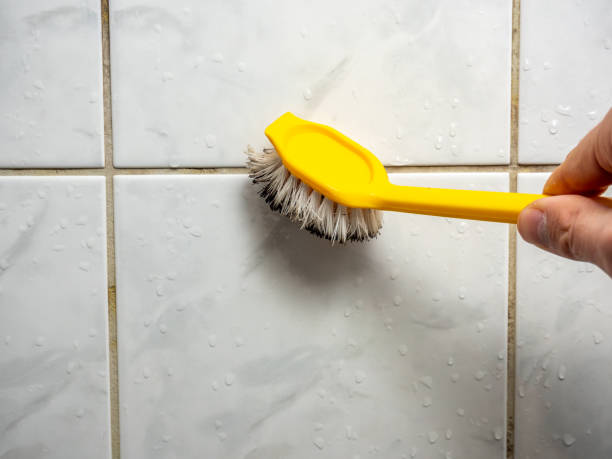 Certified Mold Removal in Cedar City, UT
