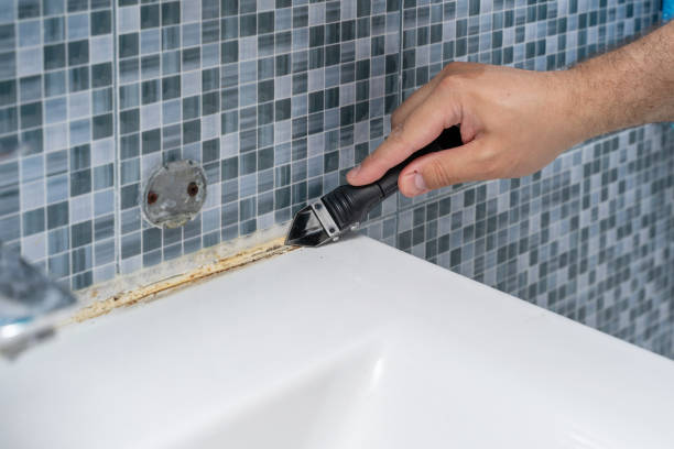 Reliable Cedar City, UT Mold Removal Solutions