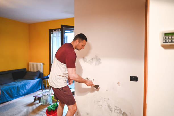 Best Black Mold Removal  in Cedar City, UT
